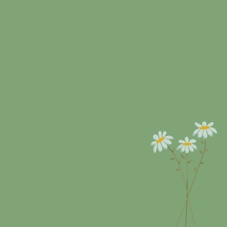 Telegram profile photo for ستزهُر🌻