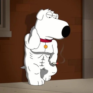 Telegram profile photo for данилк