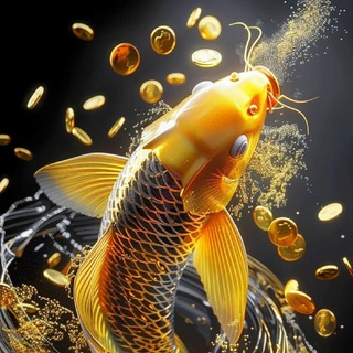 Telegram profile photo for 金龙鱼餐厅