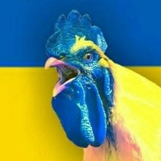 Telegram profile photo for Київський вскукарек!