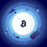 Telegram profile photo for CryptoAquariumCalls🐳