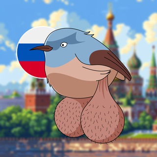 Telegram profile photo for BIG BALLS BIRDS ЧАТ 🇷🇺