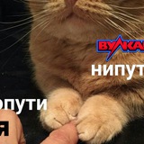 Telegram profile photo for Мостбет Казино: скачать на Андроид бесплатно