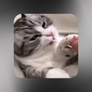 Telegram profile photo for Отзывы "@vest_vite" / 100 Отзывов
