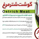 Telegram profile photo for مزرعه ارگانیک شترمرغ