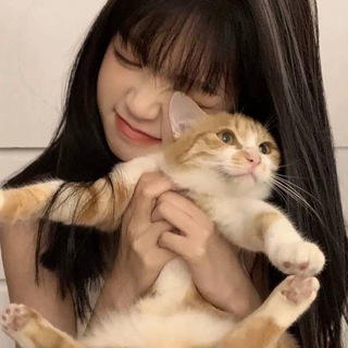 Telegram profile photo for 频道合集.防封中专