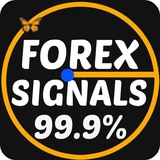 Telegram profile photo for Forex Signals 💰💸