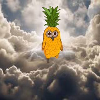 Telegram group profile photo for Pineowl
