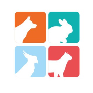 Telegram profile photo for Ветеринарный центр «ВетАвторитет»
