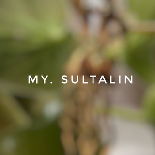 Telegram profile photo for my.sultalin