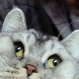 Telegram profile photo for аманекхи вроде