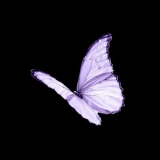 Telegram profile photo for fucknewbalance