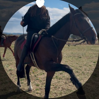 Telegram profile photo for агра на коне