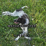 Telegram profile photo for Малоизвестная история