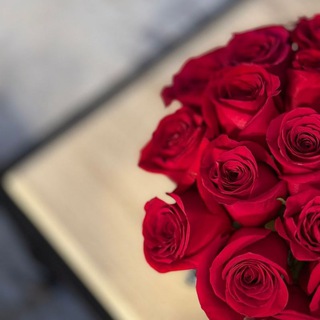 Telegram profile photo for جنة الفردوس