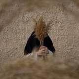 Telegram profile photo for Sabr