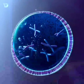 Telegram profile photo for آزمایش های علوم /دانه زن