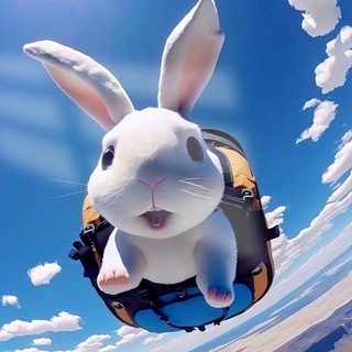 Telegram profile photo for 🔥企业微信一手批发🔥
