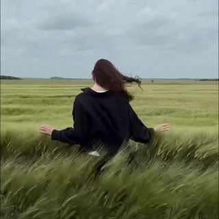 Telegram profile photo for ПТИЦА ВОЛЬНАЯ