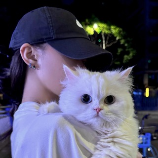Telegram profile photo for 围围反馈
