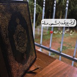 Telegram profile photo for ميثاق ♥️🌿