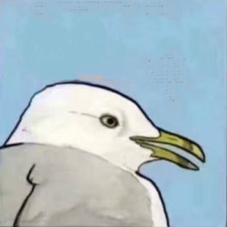 Telegram profile photo for 流云的杂物堆