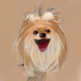 Telegram profile photo for Пока Сырная