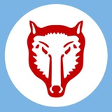 Telegram profile photo for Первый Гагаузский