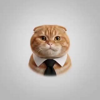 Telegram profile photo for KAPUSHA