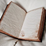 Telegram profile photo for 📚Дневник Сильвина📖