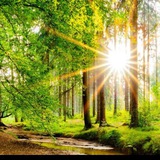 Telegram profile photo for Energiewende, gute und schlechte Nachrichten!