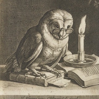 Telegram profile photo for The Blindspot Archives
