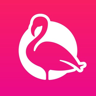 Telegram profile photo for Pronti a volare