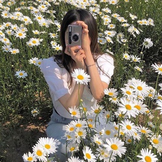 Telegram profile photo for بابونه 🌿🌼