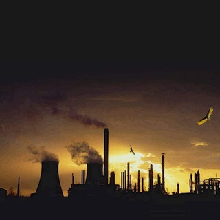 Telegram profile photo for Купи Завод!Buy factory!