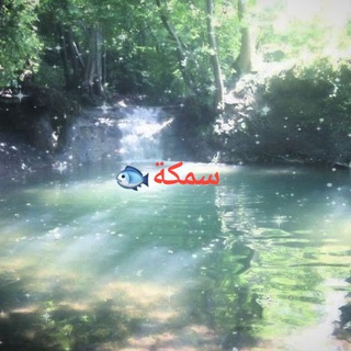 Telegram profile photo for PoL ETO Akvarium🐬🐳🐟