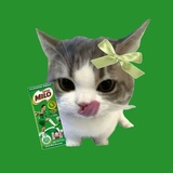 Telegram profile photo for archive miloo