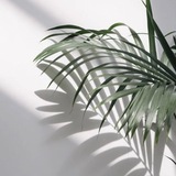 Telegram profile photo for ◽️Мамина эстетика