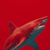 Telegram profile photo for Навигация