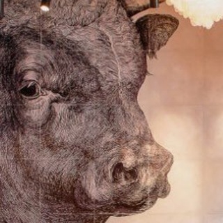 Telegram profile photo for HITCH MARKET