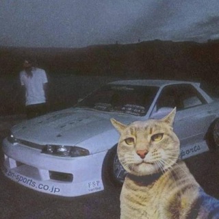 Telegram profile photo for JDM
