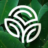 Telegram profile photo for Nature’s Sunshine Products NSP❤️