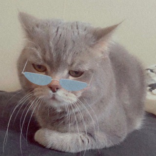 Telegram profile photo for So Sad