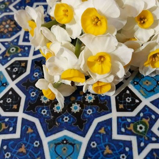 Telegram profile photo for زُخْرُف 🍃💛