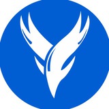 Telegram profile photo for Volterra News