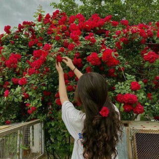 Telegram profile photo for مــلاك محمــد