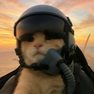 Telegram profile photo for WORK24/FEEDBACK️