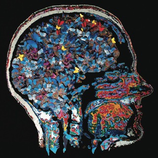 Telegram profile photo for Brain, Learning, Intelligence