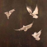 Telegram profile photo for منِ در جریان