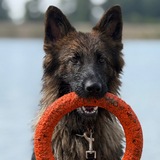 Telegram profile photo for Daira.GSD